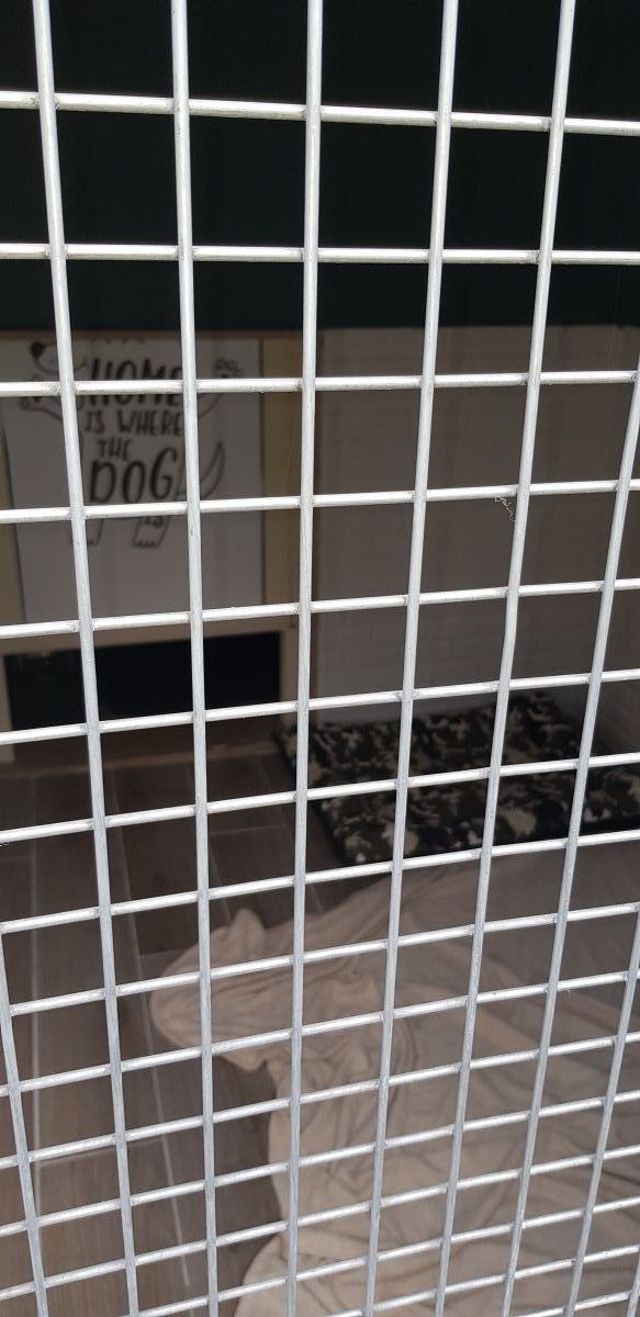 imagini hotel NIRVANA LARA